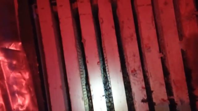 Зимовка пчёл в зимовнике 2021-2022 г.г. смотреть онлайн