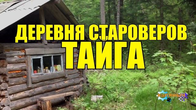 ДЕРЕВНЯ _ СТАРОВЕРЫ В ТАЙГЕ _ ОТШЕЛЬНИКИ СТАРОВЕРЫ _ в каждой деревне есть ведьма смотреть онлайн