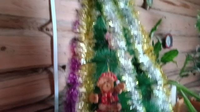 Обзор семян.И чем я занималась до прихода дочери.