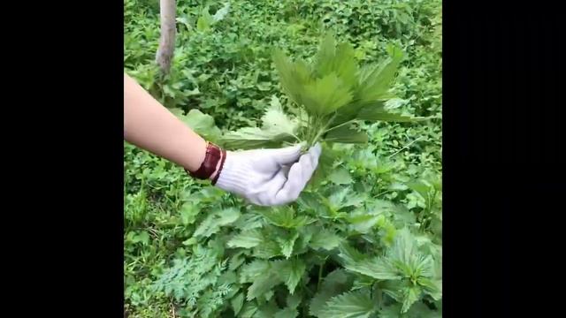Как я избавилась от перхоти. Какачты кандай жок кылса болот смотреть онлайн