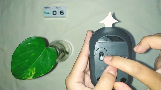 Review Mouse Logitech M170 || Murah dan berkualitas bangettt!!! смотреть онлайн