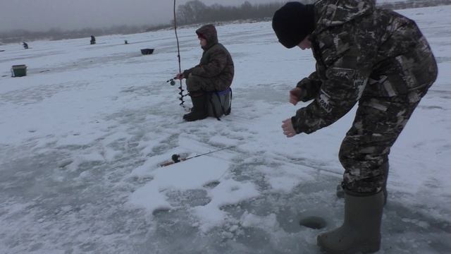 Пацаны таскают рыбу АЖ УДОЧКИ ГНУТСЯ! Рыбалка на оке! КРУПНЯК ТАСКАЮТ! смотреть онлайн