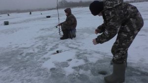Пацаны таскают рыбу АЖ УДОЧКИ ГНУТСЯ! Рыбалка на оке! КРУПНЯК ТАСКАЮТ!