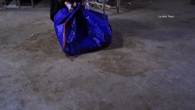 The Magic Fish Trap.The Truth About The Herb That Can Cure Cancer