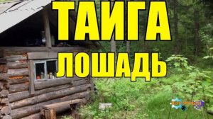 1061 - ЛЕНЬКА И ГЕТМАН