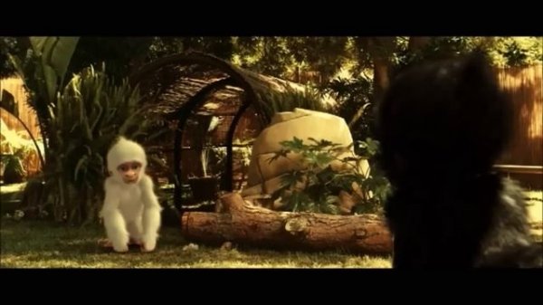 Snowflake The White Gorilla - Snowflake Meets The Gorillas (Finnish)