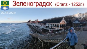 Зеленоградск новогодний, Коты-путешественники и местные, «Кенигсберг» и суровая Балтика, 20.12.2024