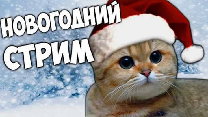 НОВОГОДНИЙ СТРИМ смотреть онлайн