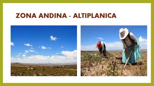 PISOS ECOLÓGICOS смотреть онлайн