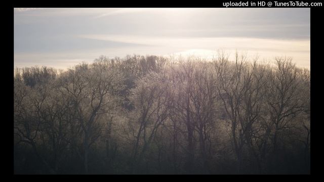 Taking Refuge in the Body (Retreat Talk) with Jonathan Foust смотреть онлайн