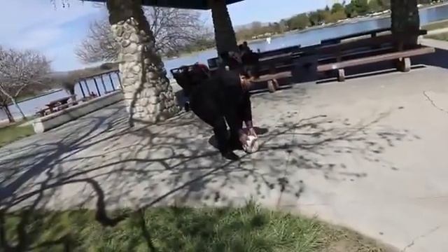 Им Балес! Слова - Артура Ованесяна, муз и исполнение - Аванес Мирзоянц. смотреть онлайн