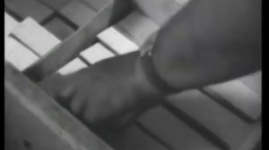 Методы содержания и разведения пчел ч. 2. Таранов Г.Ф. Сделано в СССР!