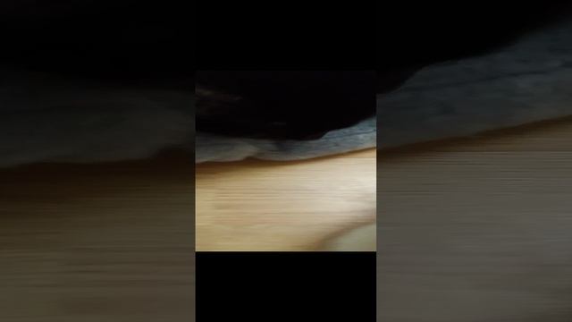 всех с наступающим новым годом 🥳🥳🥳🥳 смотреть онлайн