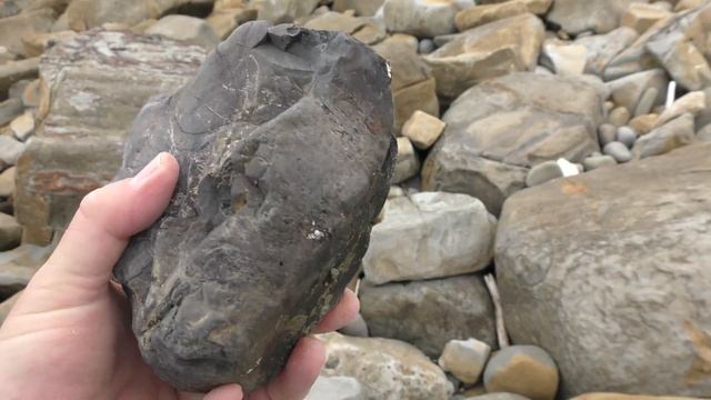 Plesiosaurus paddle discovered - fossil hunting a new spot for Cretaceous dinosaurs смотреть онлайн