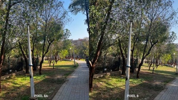 Google Pixel 8A VS Google Pixel 8 Camera Comparison