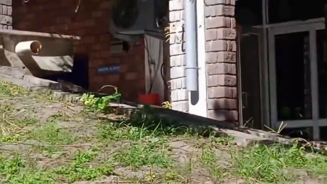 Ашрам в Индии. смотреть онлайн
