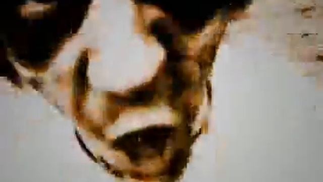 Terug van die dood смотреть онлайн