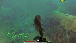 НОВАЯ ХИЩНАЯ РЫБА, ОБНОВЛЕНИЕ | Feed and Grow Fish