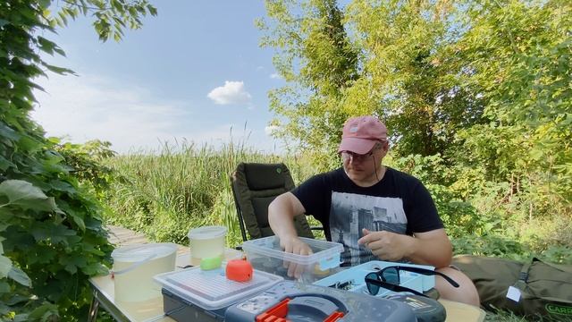 Толстолобик на Wafters!