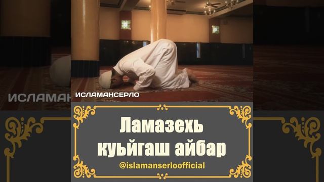 Ламазехь куьйгаш айбар смотреть онлайн