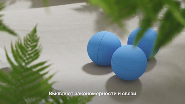 Sweepnet смотреть онлайн