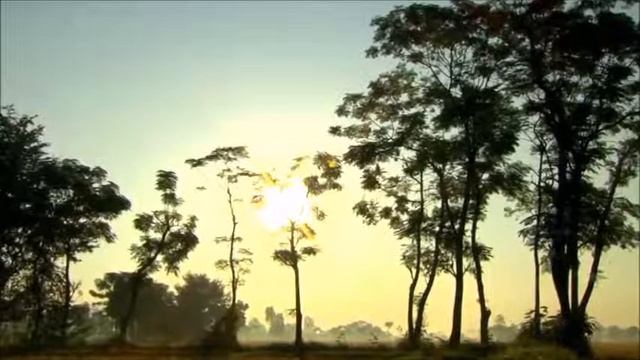 Solar Ear DSM смотреть онлайн