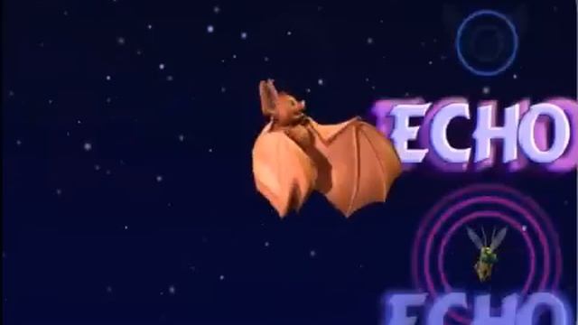 JumpStart Animal Adventures Karaoke (2002) - Echolocation [Song] смотреть онлайн