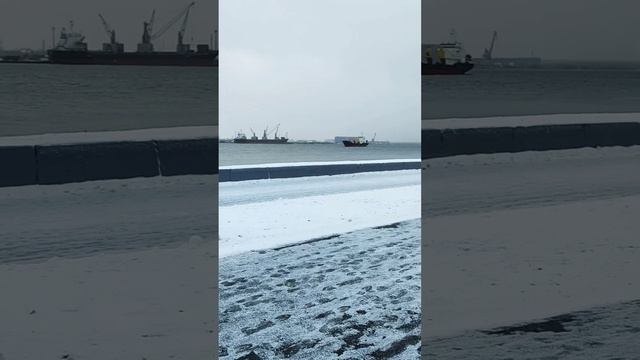 Архангельск Зимний❄день ☁Прогулка по Набережной Северной Двины #север #арктика #зима #снег #Shorts смотреть онлайн