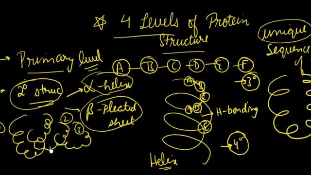 Primary secondary structure of protein | Organic Chemistry | IIT JEE & NEET | VK Sir | ATP STAR Kot смотреть онлайн