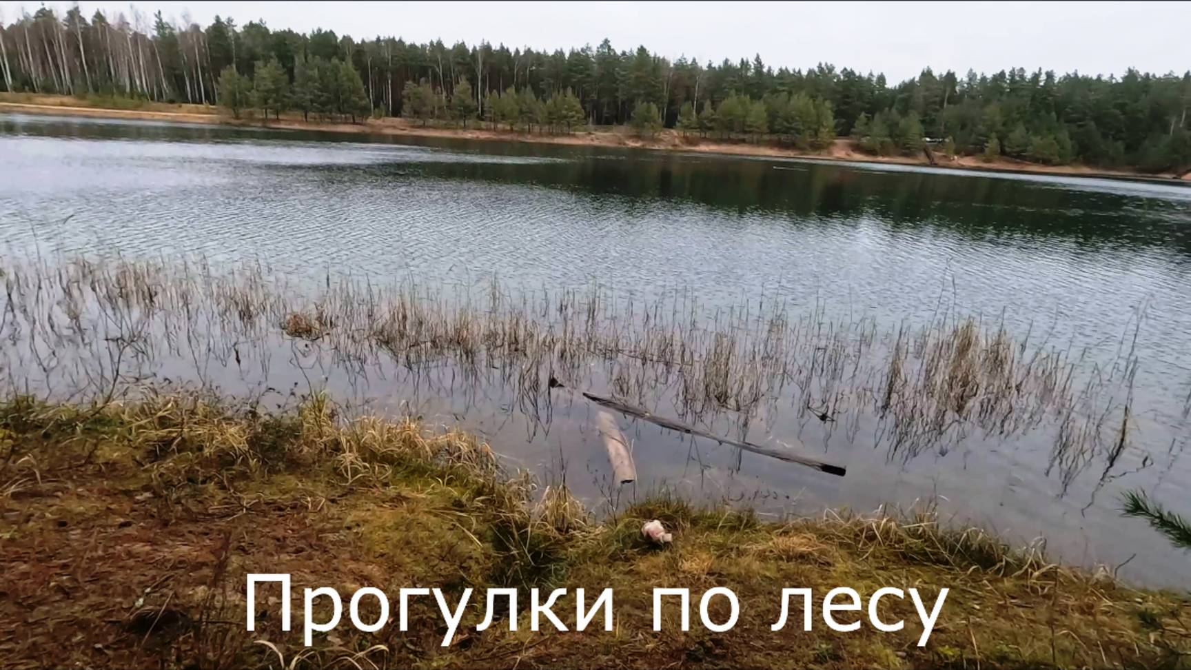 Прогулки по лесу. Вдоль озера. Меняю GoPro12 на GoPro13.