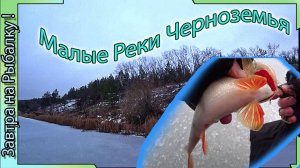 Малые реки Черноземья - Зимняя рыбалка 2025 в Воронежской области на окуня.