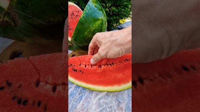 Арбузный улей: сладкое блюдо со вкусом лета   #рецепт #арбуз #радость #настроения #фрукты