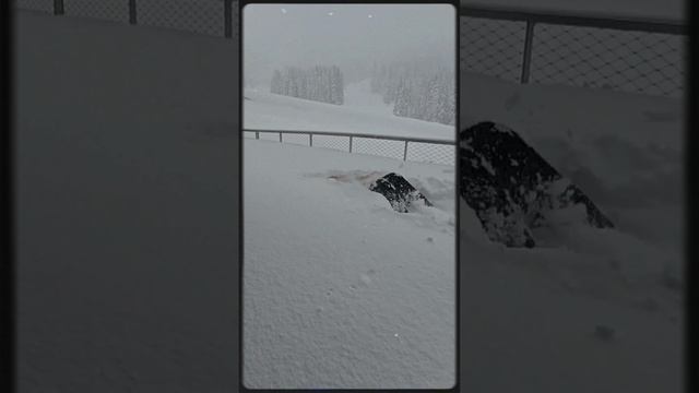 Утро в Сибири смотреть онлайн