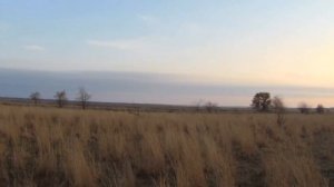 Открытие охоты на зайца в Ростовской области (4.11.23). Охочусь один.