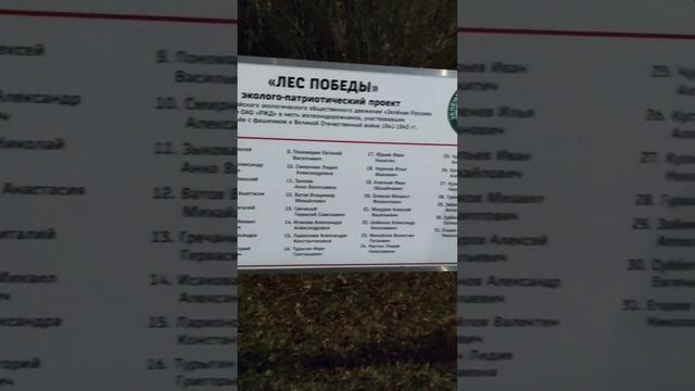 Поездка в отпуск ноябрь 2024 1Ч #ржд #поезд #отпуск #путешествия #шортс #shorts смотреть онлайн