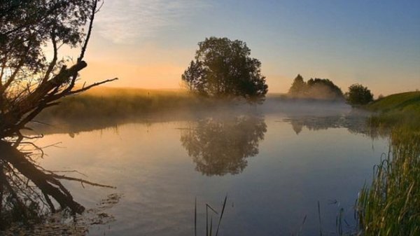 Трофим   -  Мы больше не увидимся  -  Trofim