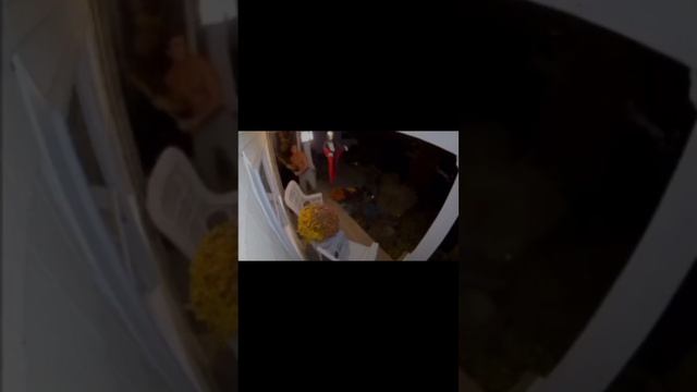 This bro is genius! смотреть онлайн