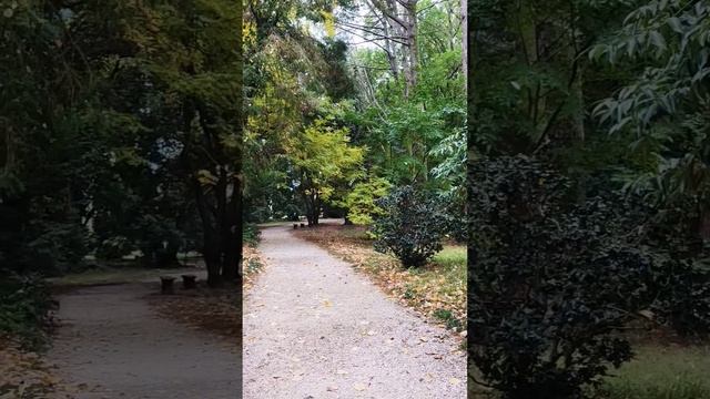 Сочи-АдлерОсеннийдень по Дендропарку #Сочи #Адлер #КраснодарскийКрай #Дендрарий #парк #Shorts смотреть онлайн