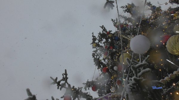 С Новым 2025-м годом!