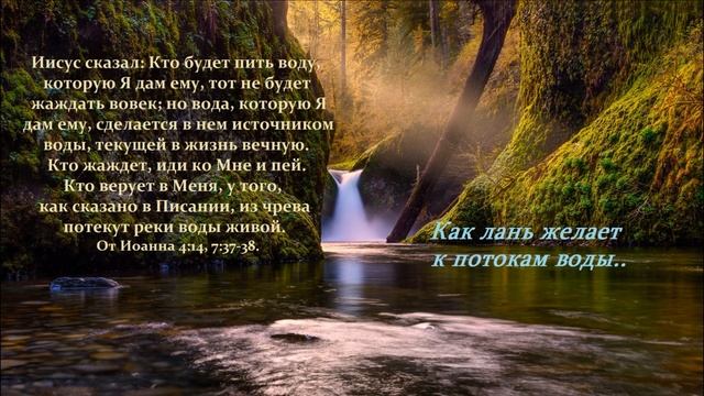 Как лань желает к потокам воды.. смотреть онлайн