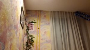 перед Новым Годом