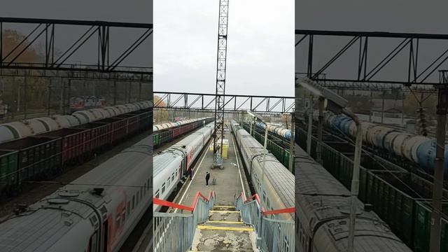 Продолжение поездки в отпуск ноябрь 2024 7Ч #ржд #поезд #отпуск #путешествия #шортс #shorts смотреть онлайн