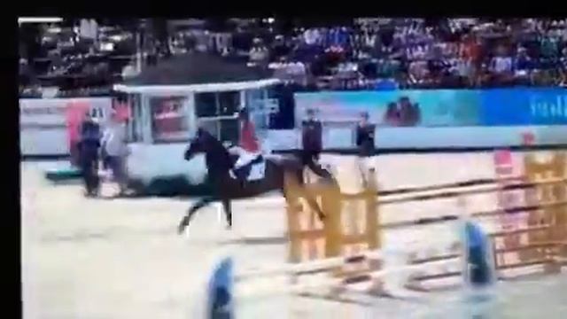 Caldero, gelding born 2008 by Camaro M - Cortez. Swedish team Championship, silver. смотреть онлайн