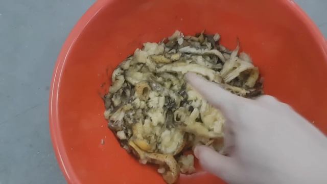 SHREDDING OREO BISCUITS AND BANANAS IS ODDLY SATISFYING TO WATCH | #YouAskWeShred Ep. 4 смотреть онлайн