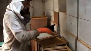 Любительское пчеловодство в кочевых павильонах Можейко Владимир