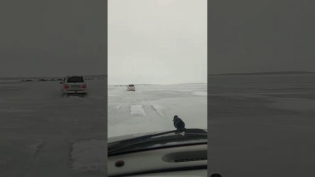 10февраля Рыбалка на судака в слом погоды от +3° на -15° Всё растаяло Едем по воде ОВХ #судакнавибы смотреть онлайн