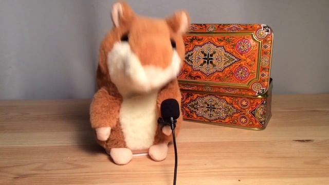 Цитаты от хомяка смотреть онлайн