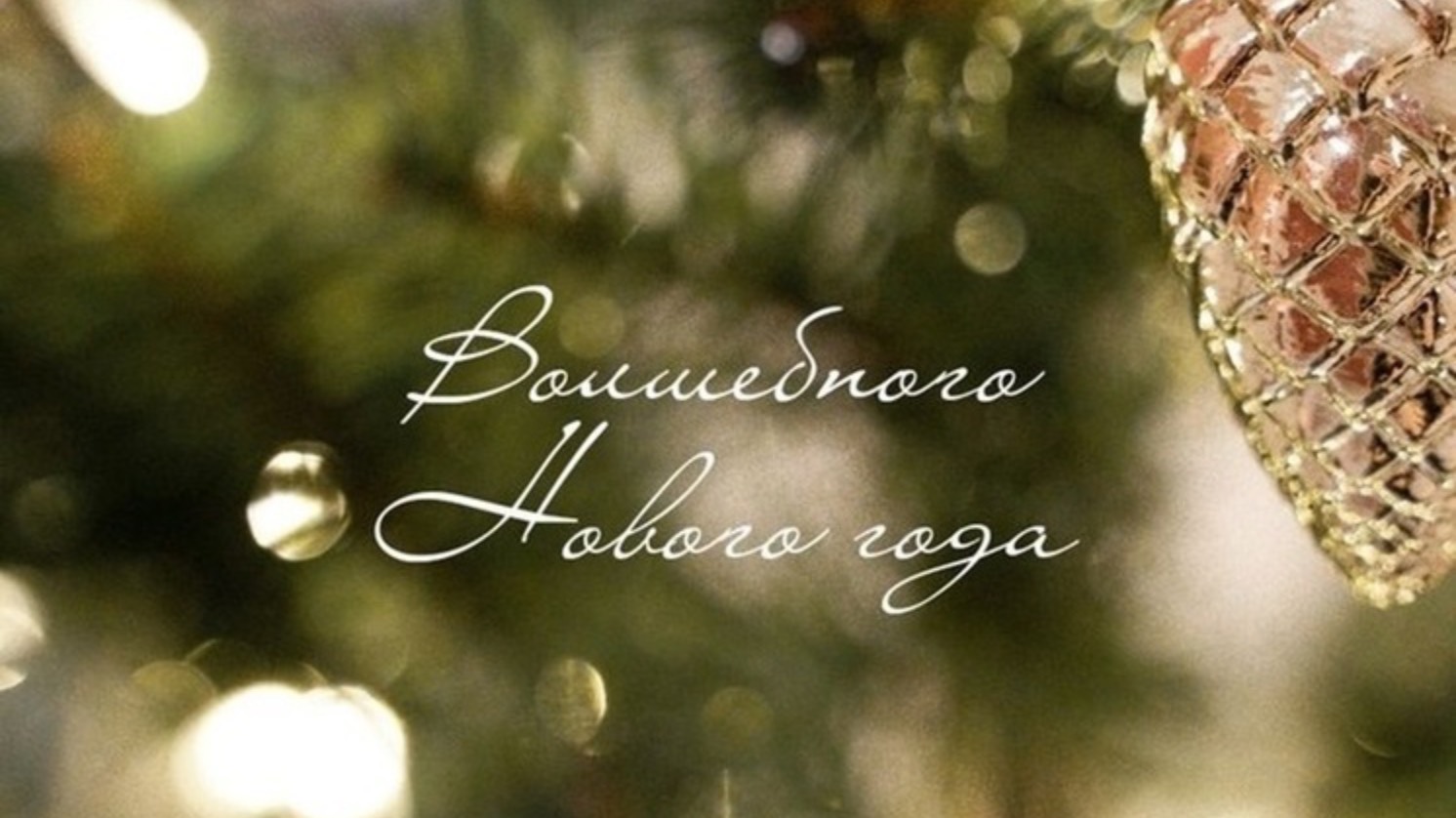 Друзья, всех вас с новым 2025 годом!