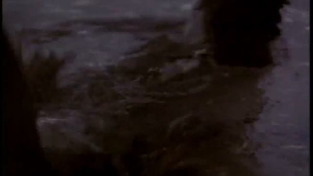 Down came a blackbird 1995 movie (Raul Julia, Laura Dern) 9/11 смотреть онлайн
