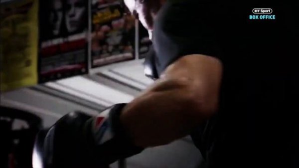 GGG VS CANELO2 "SURVIVOR"